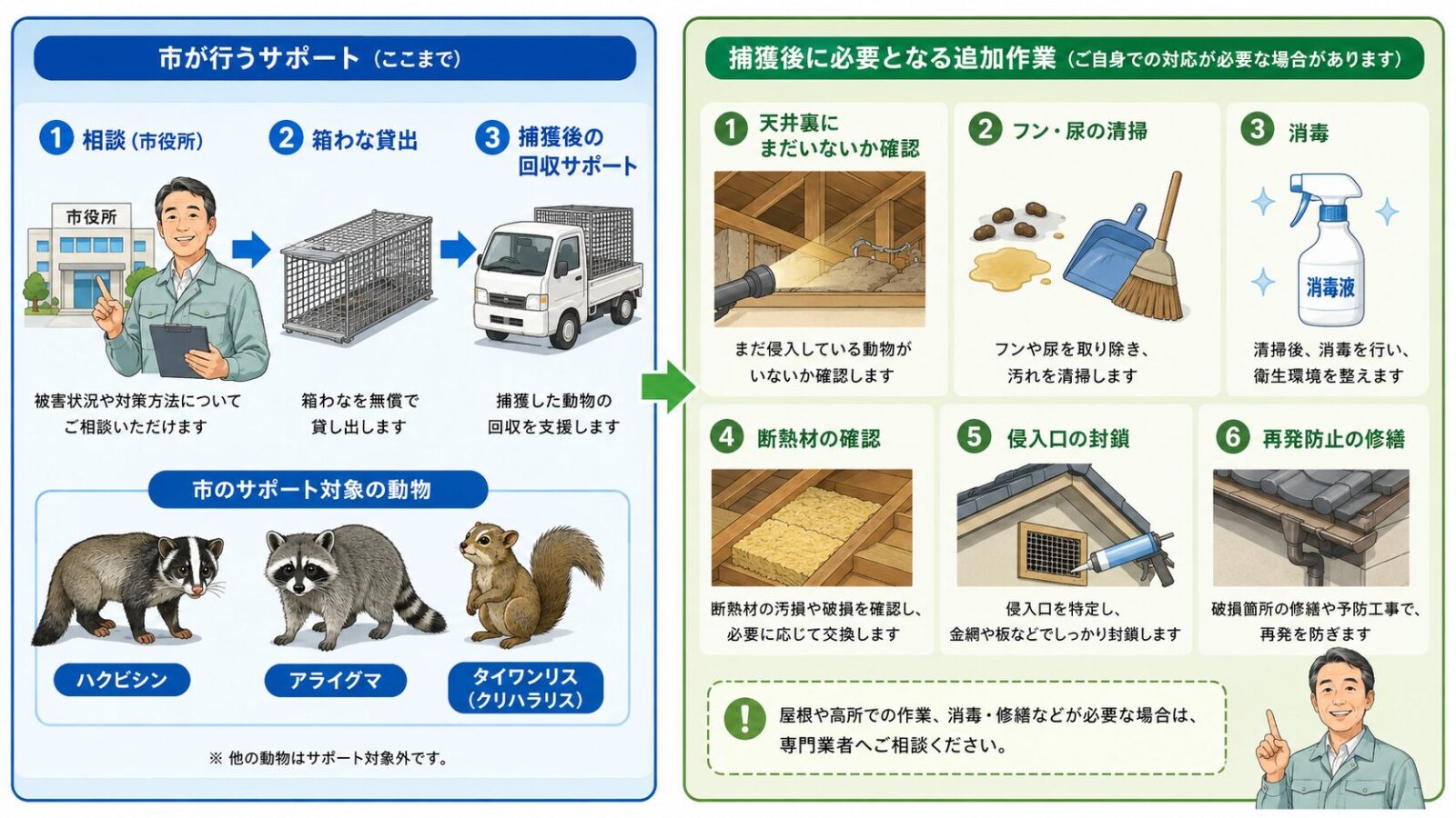 横須賀市の箱わな貸出だけでは対応しきれない屋根裏清掃、消毒、侵入口封鎖の作業を示すイラスト