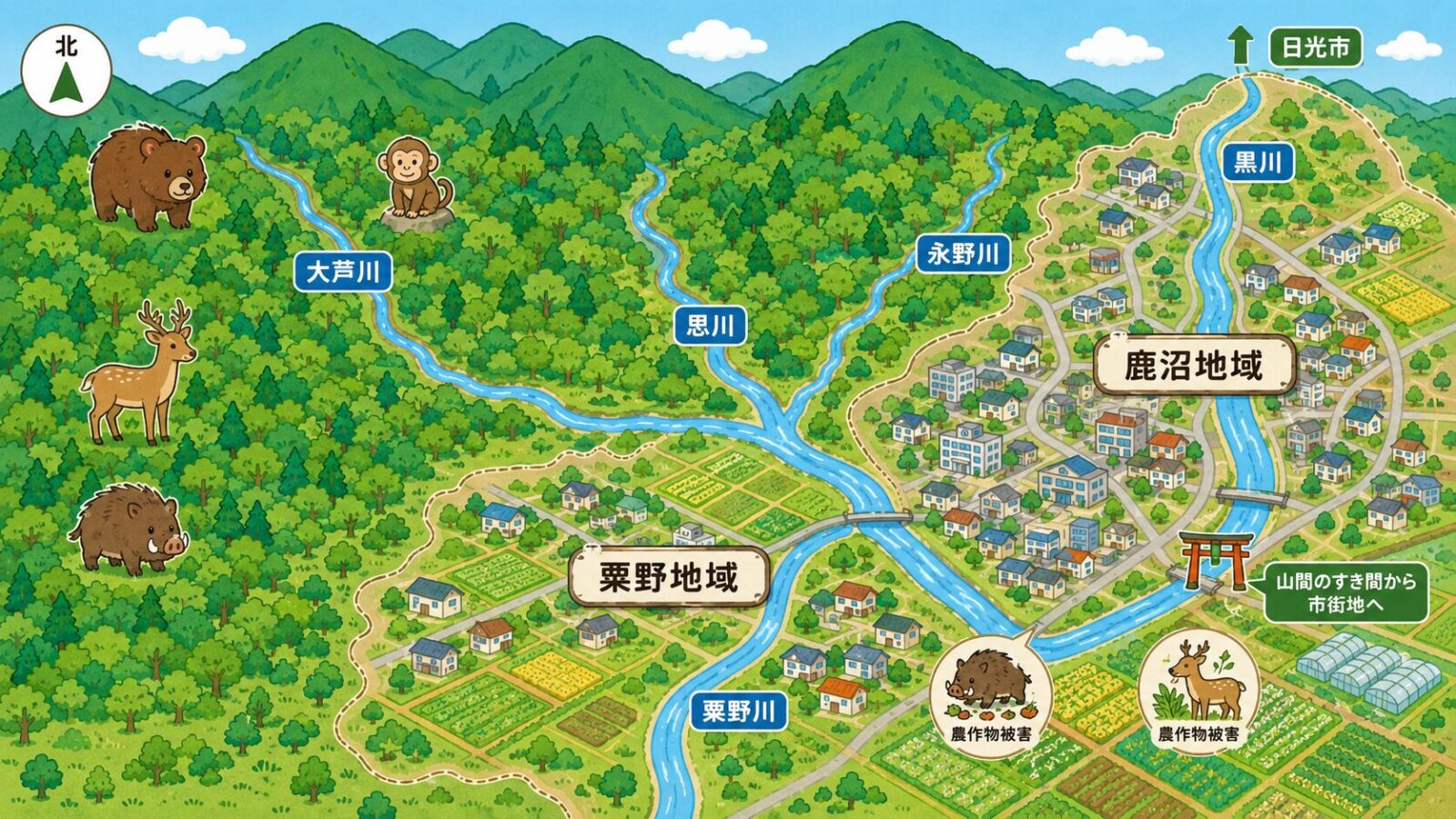 鹿沼市の地形と点検ポイントを示す模式マップ。上が北で、市域の約7割が森林の山地が西部から北部に広がり、西北部の山々を源に大芦川・荒井川・粟野川・思川・永野川、日光方面から黒川が南へ流れ、鹿沼地域は黒川沿いの低地と東部高台、粟野地域は思川と粟野川が合流する平地に市街地を配置。山際はイノシシ・シカ・サル・クマ、市街地はすき間侵入、農地は食害に注意と示すいらすとや風イラスト。