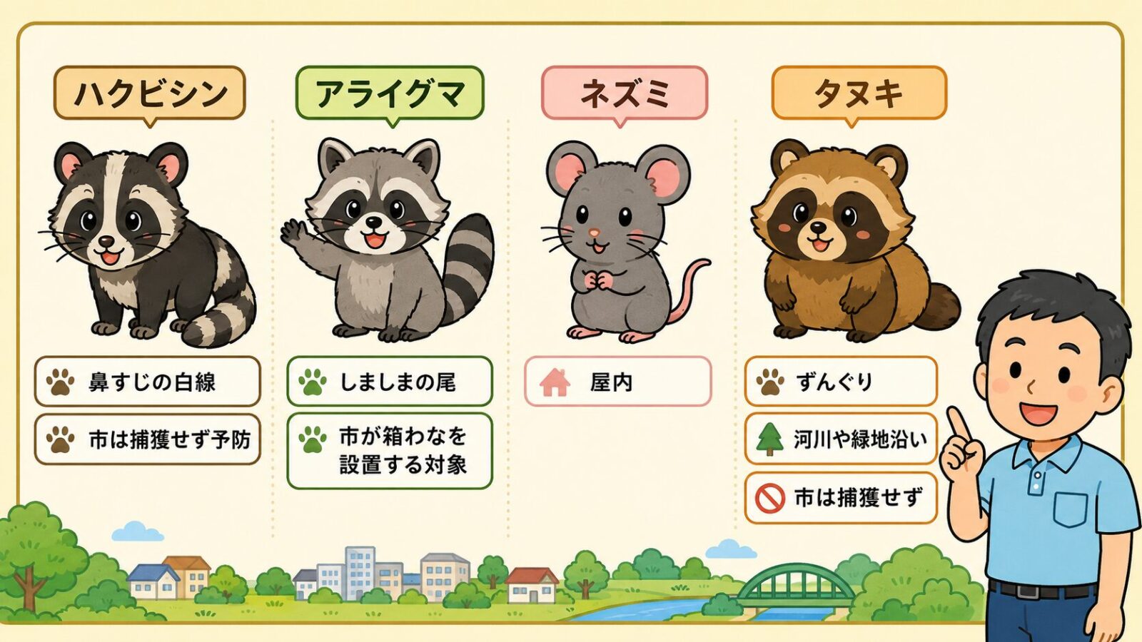 取手市で見られる害獣を整理した図。ハクビシン（市は捕獲を行わず予防が中心）・アライグマ（特定外来生物で市が箱わなを設置する対象）、住宅内で注意したいネズミ、利根川・小貝川沿いや緑地で見られるタヌキを守谷タクミが解説するいらすとや風イラスト。