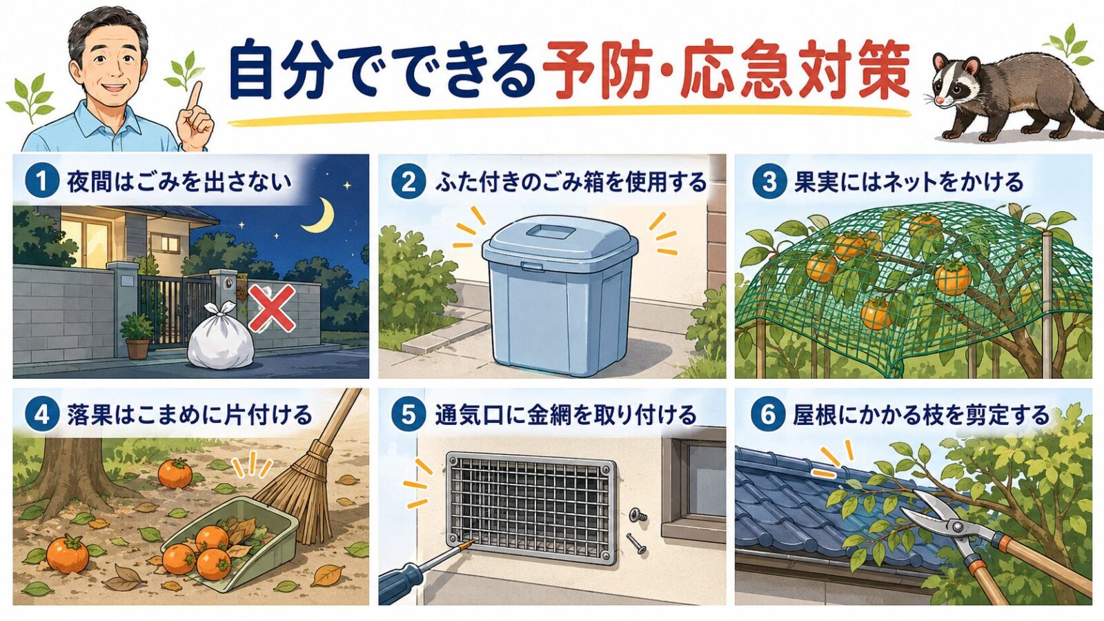 台東区で自分でできるハクビシン予防と応急対策のイラスト