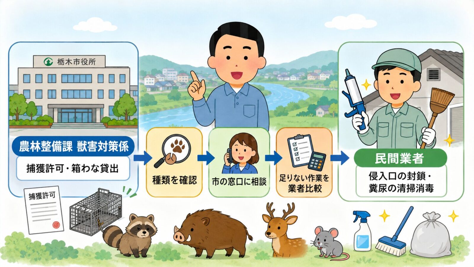 栃木市の害獣駆除で、農林整備課への相談、捕獲許可、箱わな貸出、民間業者の役割分担を示した図解