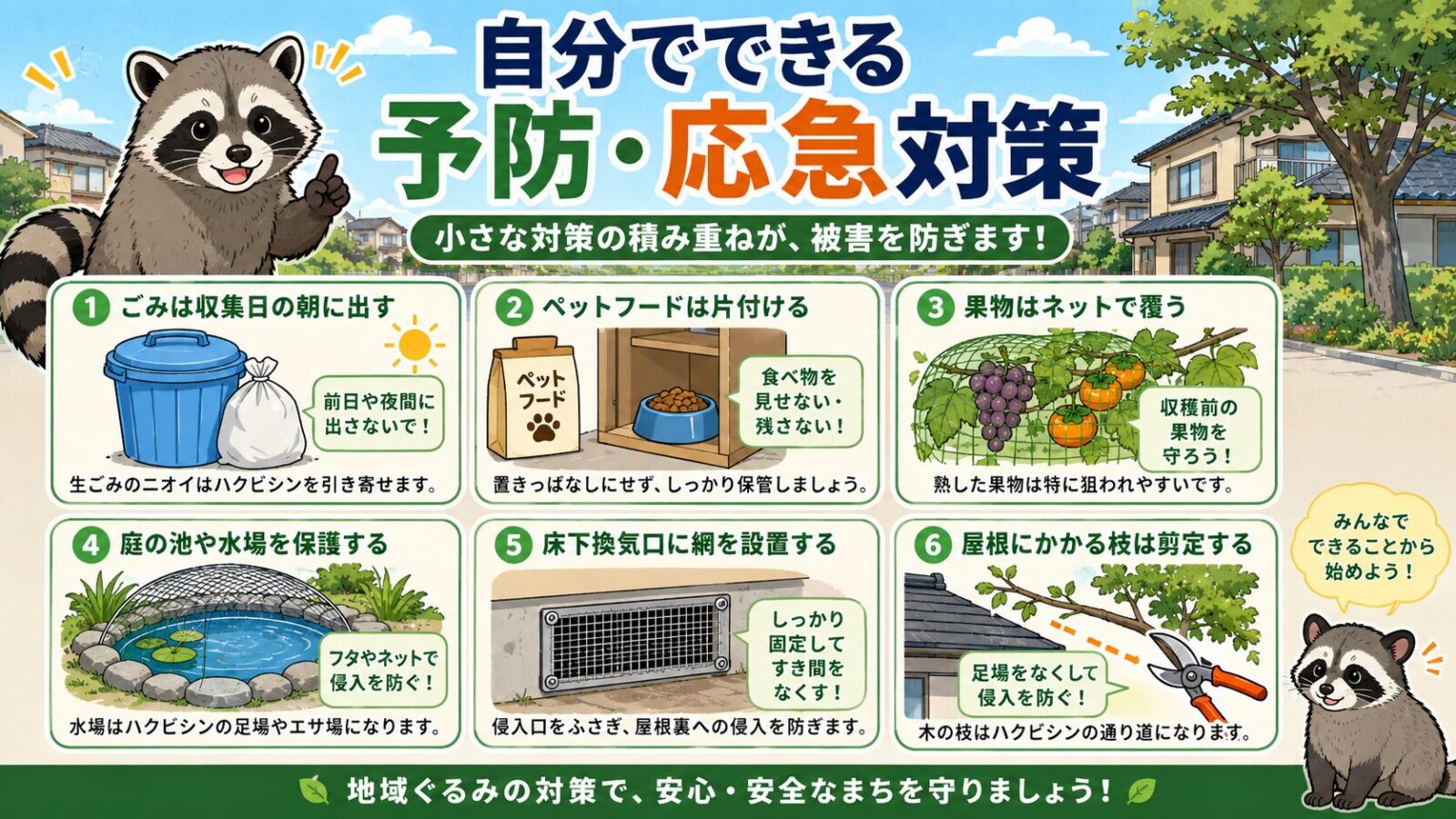 墨田区で自分でできるハクビシン予防と応急対策のイラスト