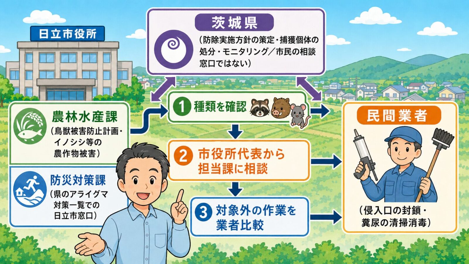 日立市の害獣相談はまずどこに相談するかを示す図。市の公式窓口(鳥獣被害防止計画の担当である産業経済部農林水産課と、県のアライグマ対策一覧で日立市担当とされる総務部防災対策課)と民間業者(侵入口の封鎖・糞尿の清掃消毒)の役割分担、種類を確認→市役所代表から担当課に相談→制度の対象外作業を業者比較の3ステップを守谷タクミが案内するいらすとや風イラスト。