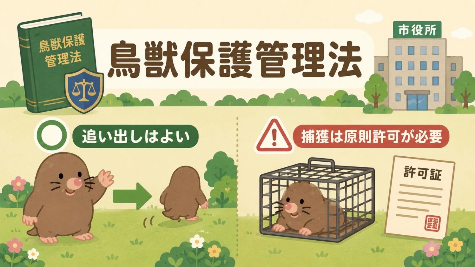 モグラの捕獲と法律の関係を示すいらすとや風イラスト。鳥獣保護管理法の本と市役所の建物を背景に、追い出し(◯・追い出しはOK)と捕獲器(△・捕獲は原則許可が必要)を対比し、迷ったら自治体へ確認と案内する図解。
