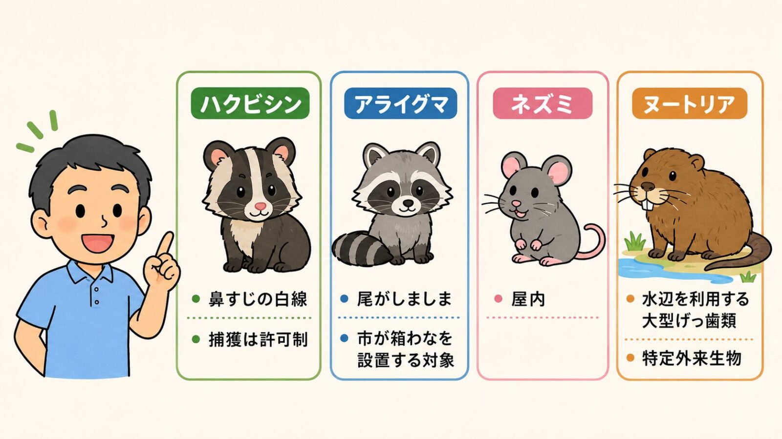 古河市で見られる害獣を整理した図。ハクビシン(屋根裏に侵入)・アライグマ(特定外来生物で市が箱わなを設置する対象)、住宅内で注意したいネズミ、渡良瀬遊水地など水辺で見られるヌートリアを守谷タクミが解説するいらすとや風イラスト。