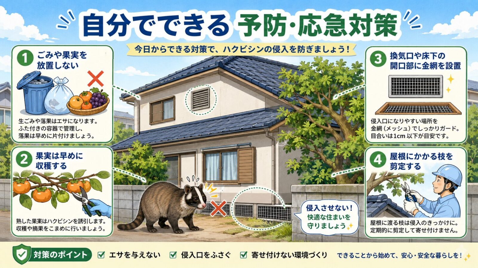 荒川区の住宅でできるハクビシン予防と応急対策