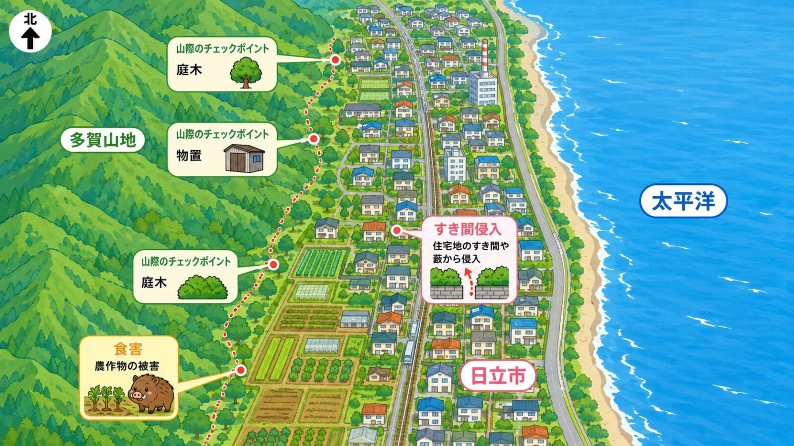 日立市の地形と点検ポイントを示す模式マップ。上が北で、東(右)に太平洋の海岸線、西(左)に多賀山地の山並みを配置し、海と山に挟まれて南北に細長く市街地・住宅地と農地が伸びる地形を表現。山際エリアは山林からの侵入、市街地はすき間からの侵入、農地はイノシシ等の食害に注意と示すいらすとや風イラスト。海は東、山は西に必ず置く。
