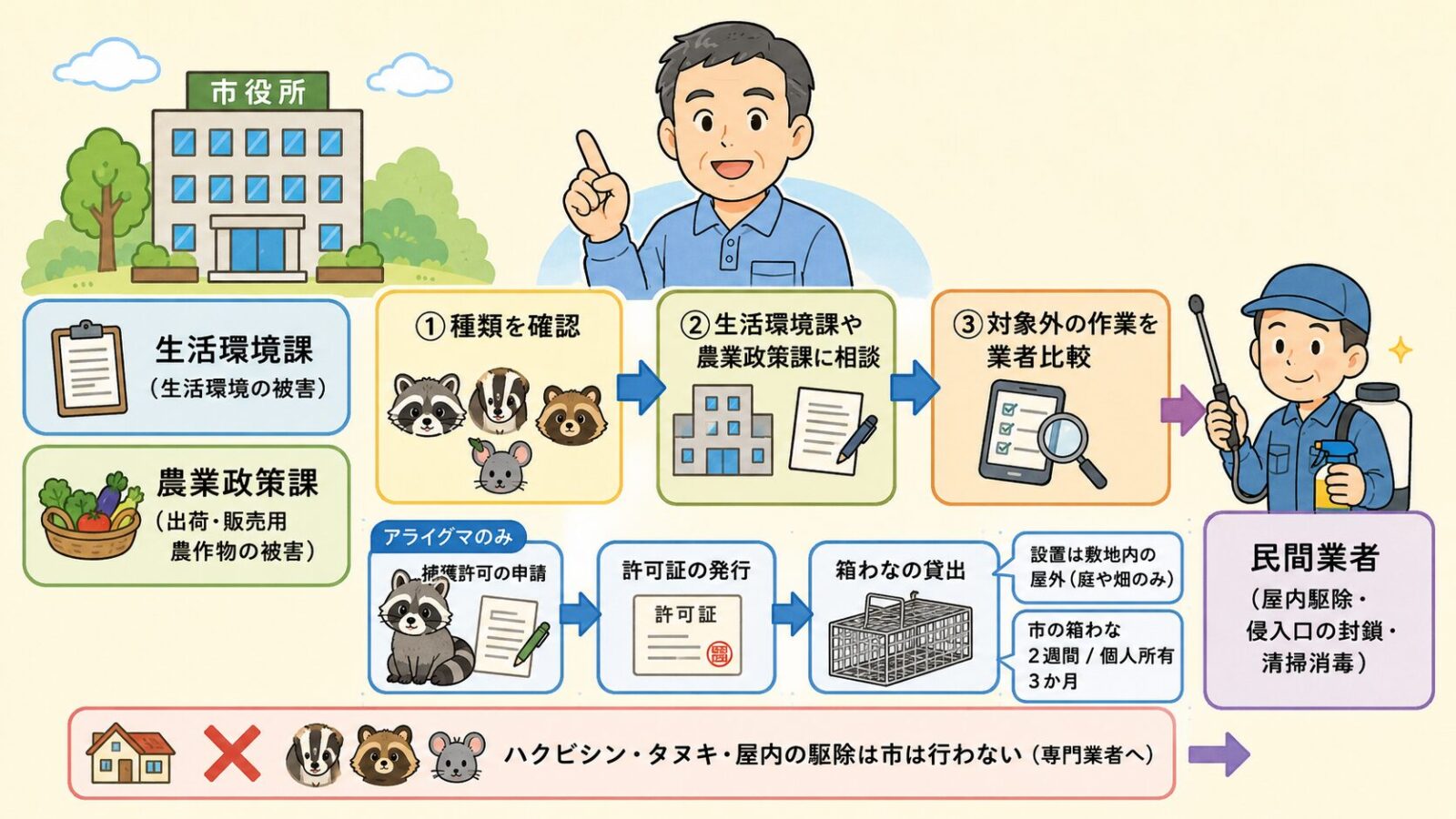 常総市の害獣相談はまずどこに相談するかを示す図。市の公式窓口（県のアライグマ対策一覧で常総市担当とされる産業振興部の生活環境課と農業政策課）が相談を受け、アライグマは敷地内の屋外に箱わなを設置して捕獲する流れ、ハクビシンやタヌキ・屋内の駆除は市が行わない点、民間業者が屋内駆除や侵入口の封鎖・清掃消毒を担う役割分担と、種類を確認→生活環境課や農業政策課に相談→制度の対象外作業を業者比較の3ステップを守谷タクミが案内するいらすとや風イラスト。