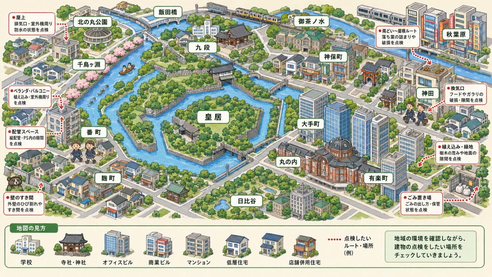 千代田区のビルやマンションで注意したいハクビシンの侵入経路と地域特性