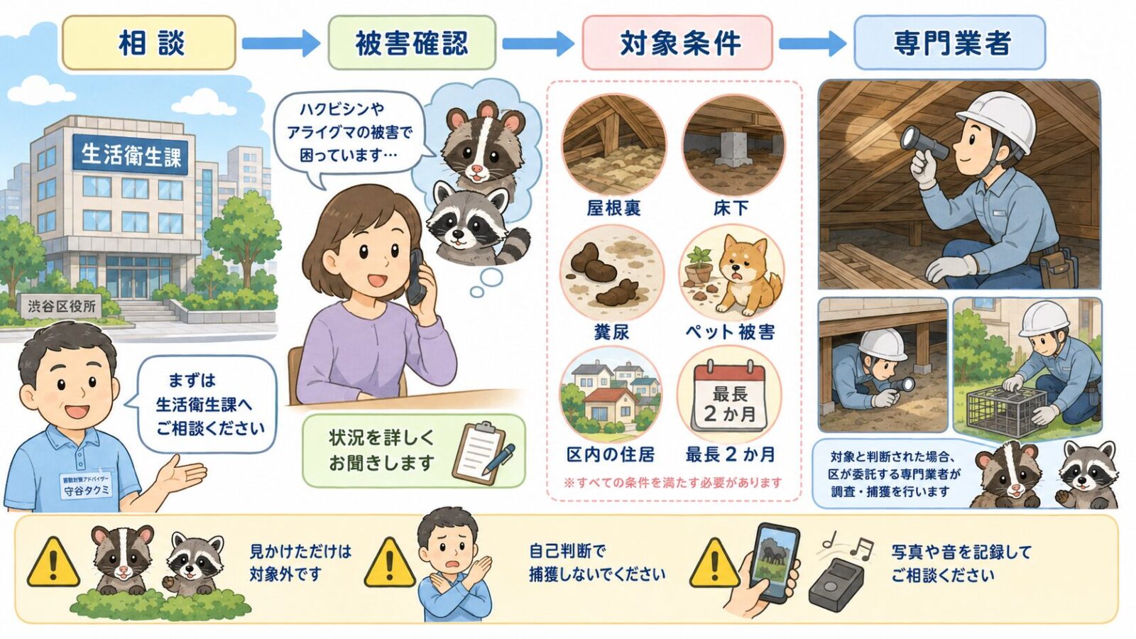 渋谷区の生活衛生課への相談とハクビシン捕獲対応条件を示す図解
