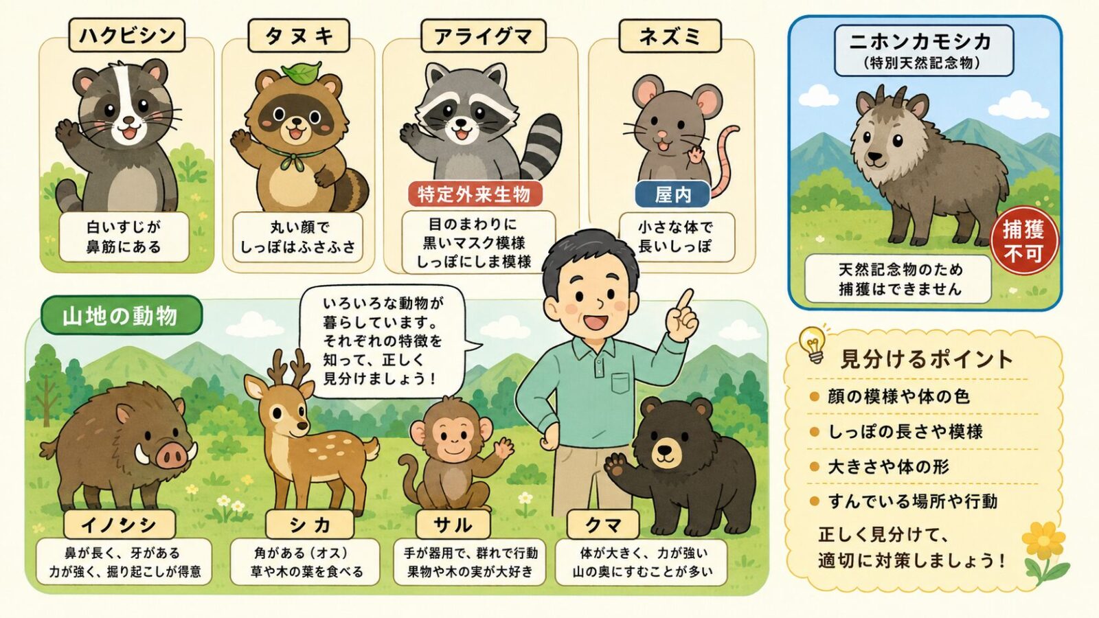 日光市で見られる害獣を整理した図。ハクビシン（夜行性・屋根裏に侵入）・タヌキ（糞害）・アライグマ（特定外来生物・近隣で生息確認）、住宅内で注意したいネズミ、山地で注意するイノシシ・シカ・サル・クマ、特別天然記念物のニホンカモシカ（捕獲不可）を守谷タクミが解説するいらすとや風イラスト。