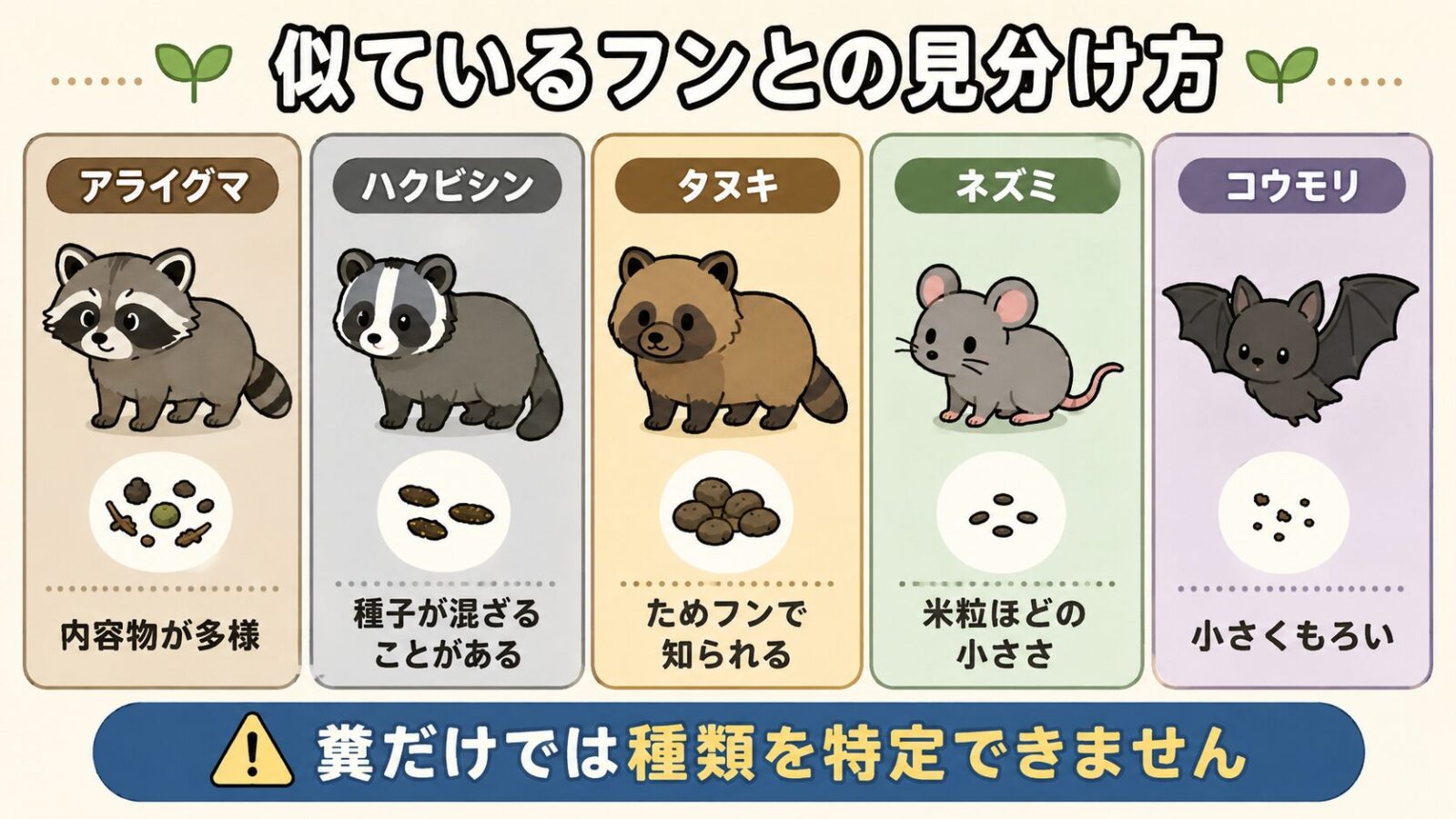アライグマ・ハクビシン・タヌキ・ネズミ・コウモリのフンを並べて比較する図解。それぞれの動物のイラストの下にフンの見た目と、内容物が多様、種子が混ざることがある、ためフンで知られる、米粒ほどの小ささ、小さくもろいという特徴を添え、最下部に糞だけでは種類を特定できないという注意書きを配置したいらすとや風イラスト。