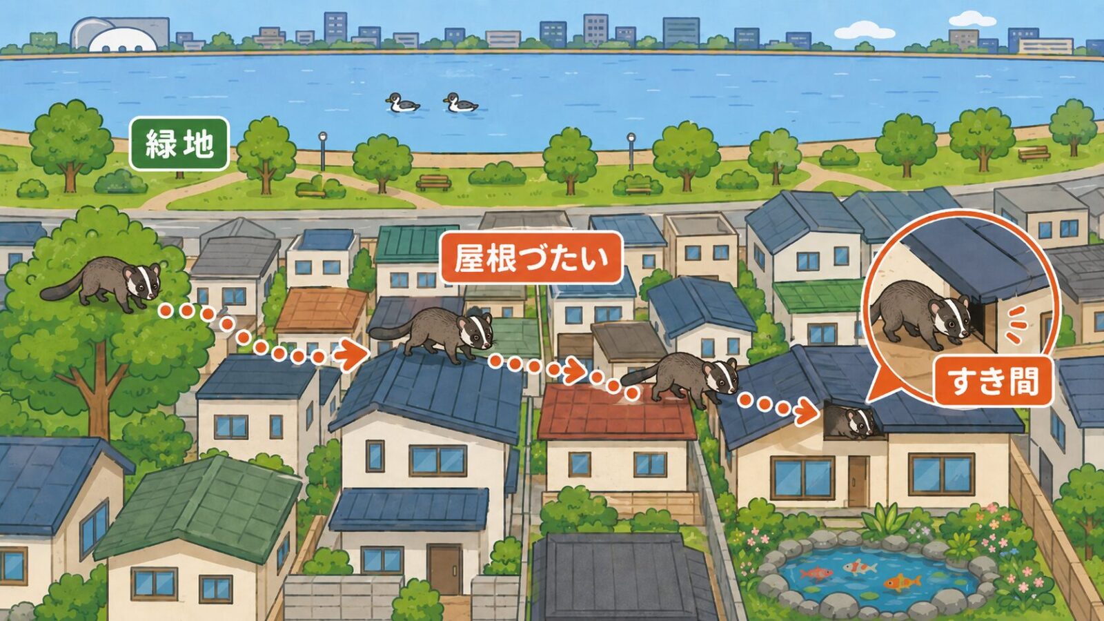 東京湾岸の谷津干潟と住宅密集地が隣り合う習志野市でハクビシンの侵入経路を示したいらすとや風イラスト