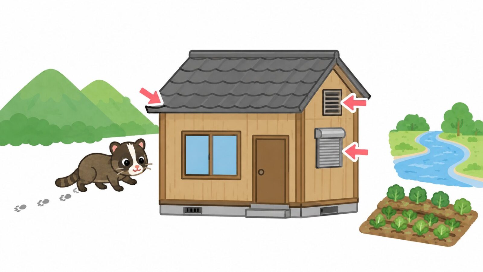 厚木市の山際と住宅地でハクビシンの侵入経路を示すイラスト