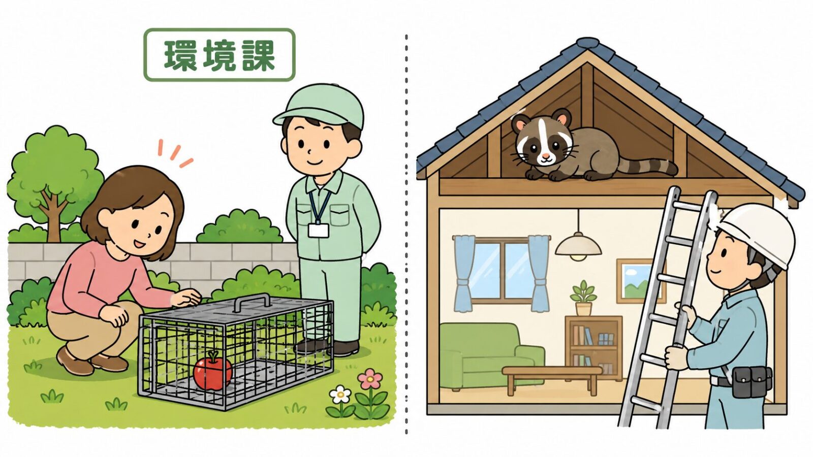 狭山市の相談窓口である環境課と、庭に設置する捕獲器の貸し出し制度を案内するいらすとや風イラスト
