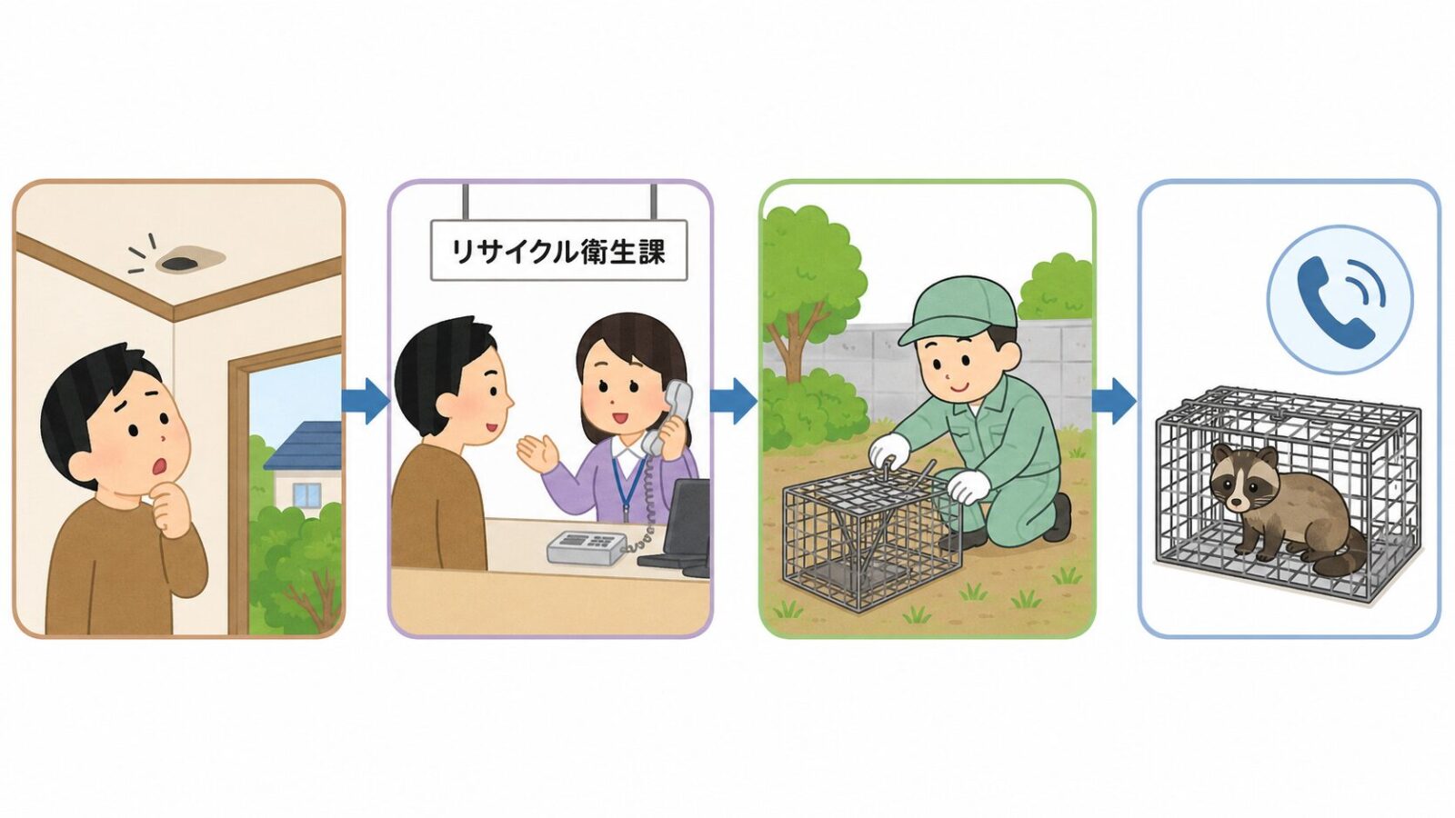 春日部市の相談窓口であるリサイクル衛生課と、委託業者がアライグマ捕獲器を設置する流れを案内するいらすとや風イラスト