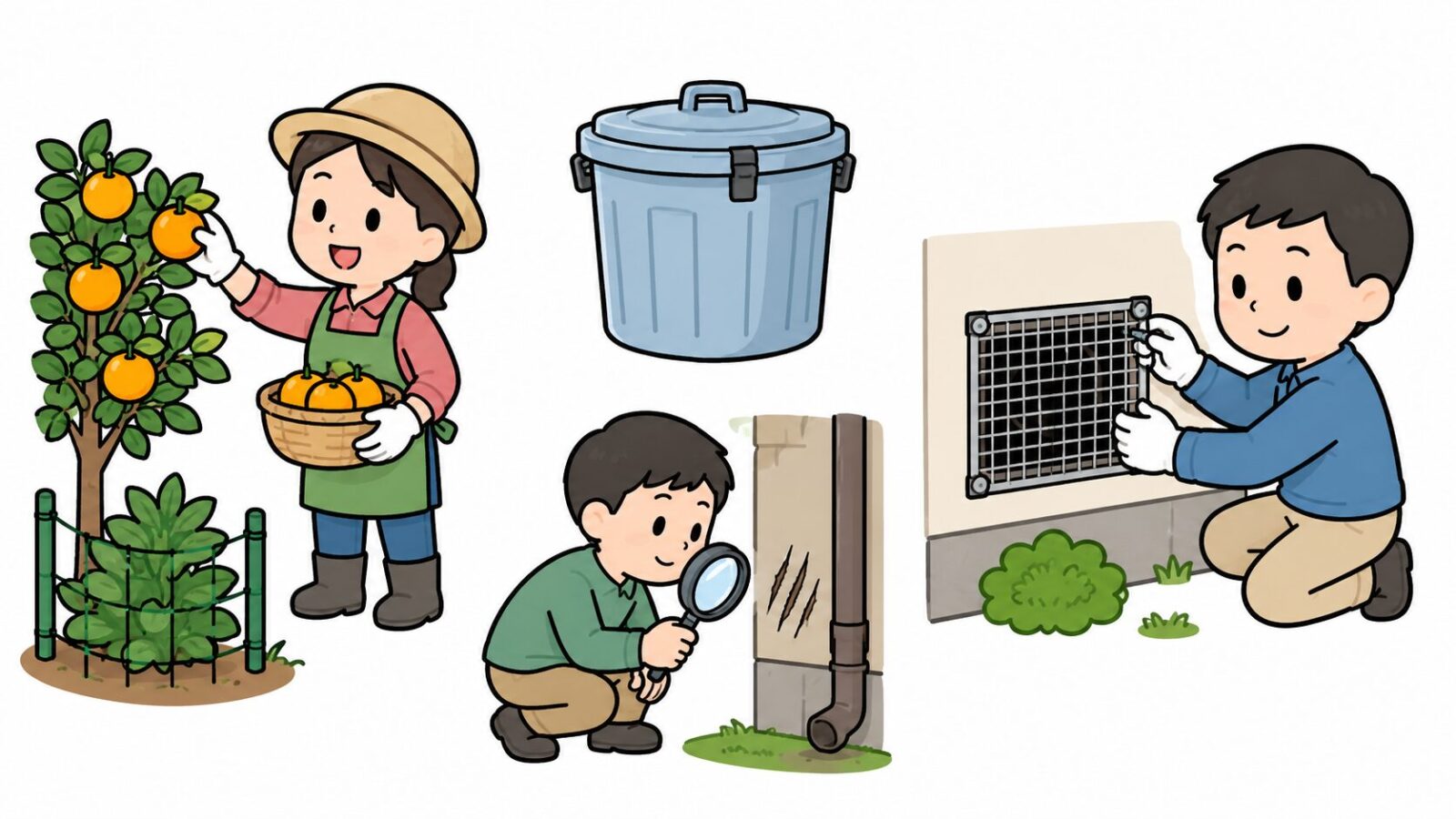 果実の収穫や生ごみ管理など越谷市の住宅でできるハクビシン予防対策を描いたいらすとや風イラスト