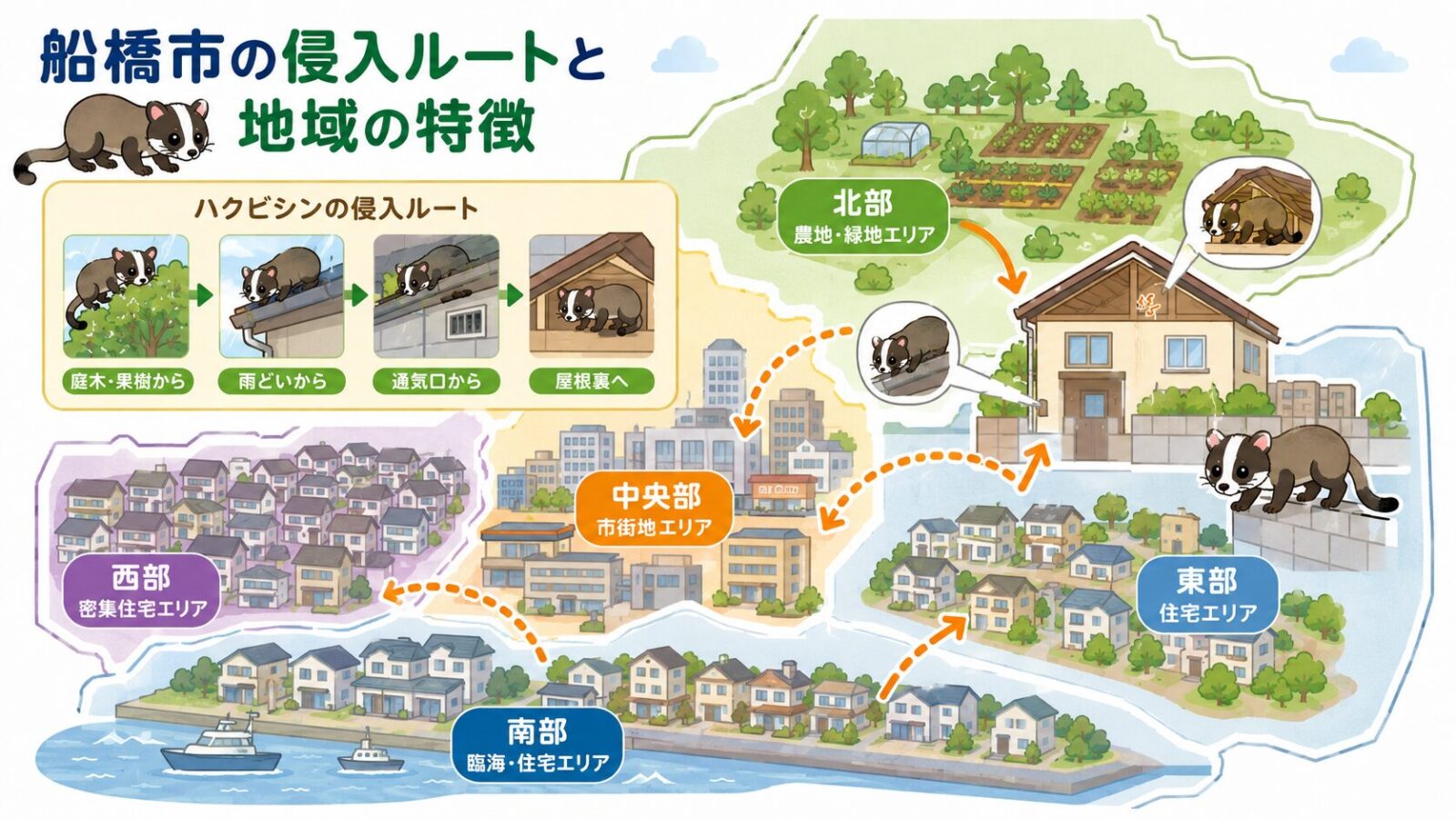 船橋市の南部・西部・中部・東部・北部の住宅地や農地で、ハクビシンが庭木や雨どいから屋根裏へ侵入する経路を示すいらすとや風イラスト