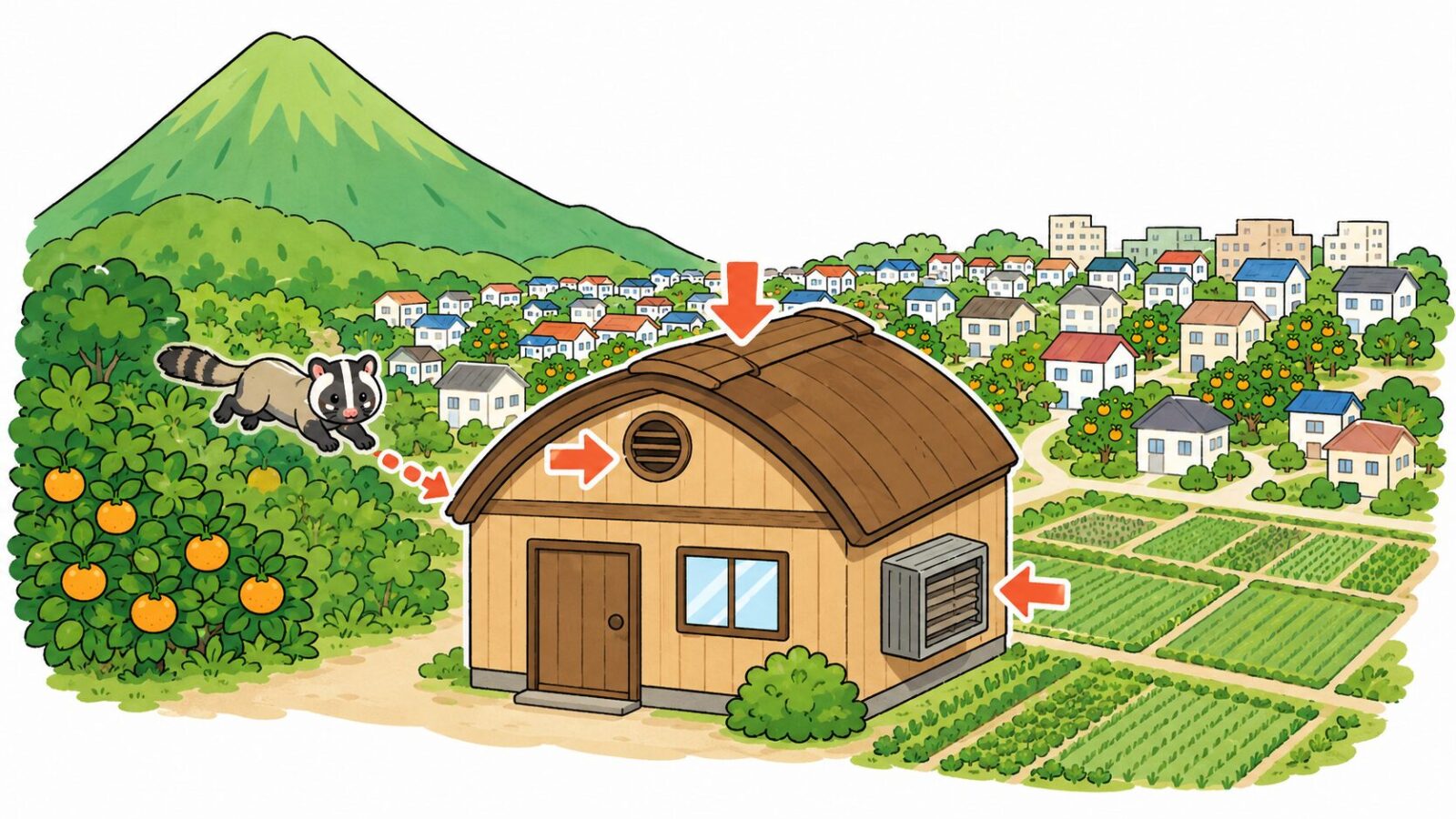 北西に大山がそびえ扇状地の伊勢原台地と南東の相模平野からなる伊勢原市の住宅でハクビシンの侵入経路を示したいらすとや風イラスト