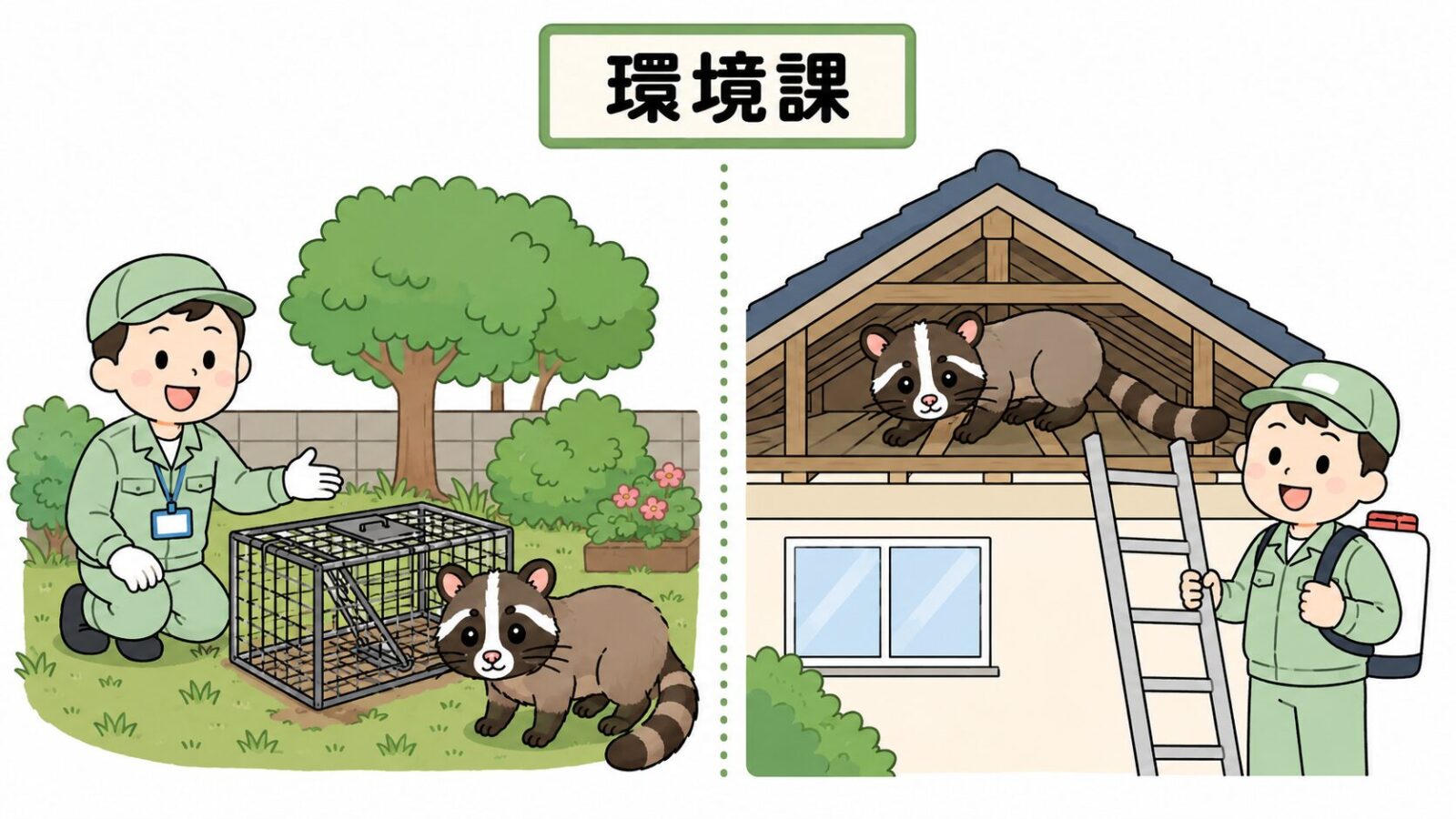 新座市の相談窓口である環境課と、アライグマは市の箱わな・ハクビシンは業者相談という分担を案内するいらすとや風イラスト