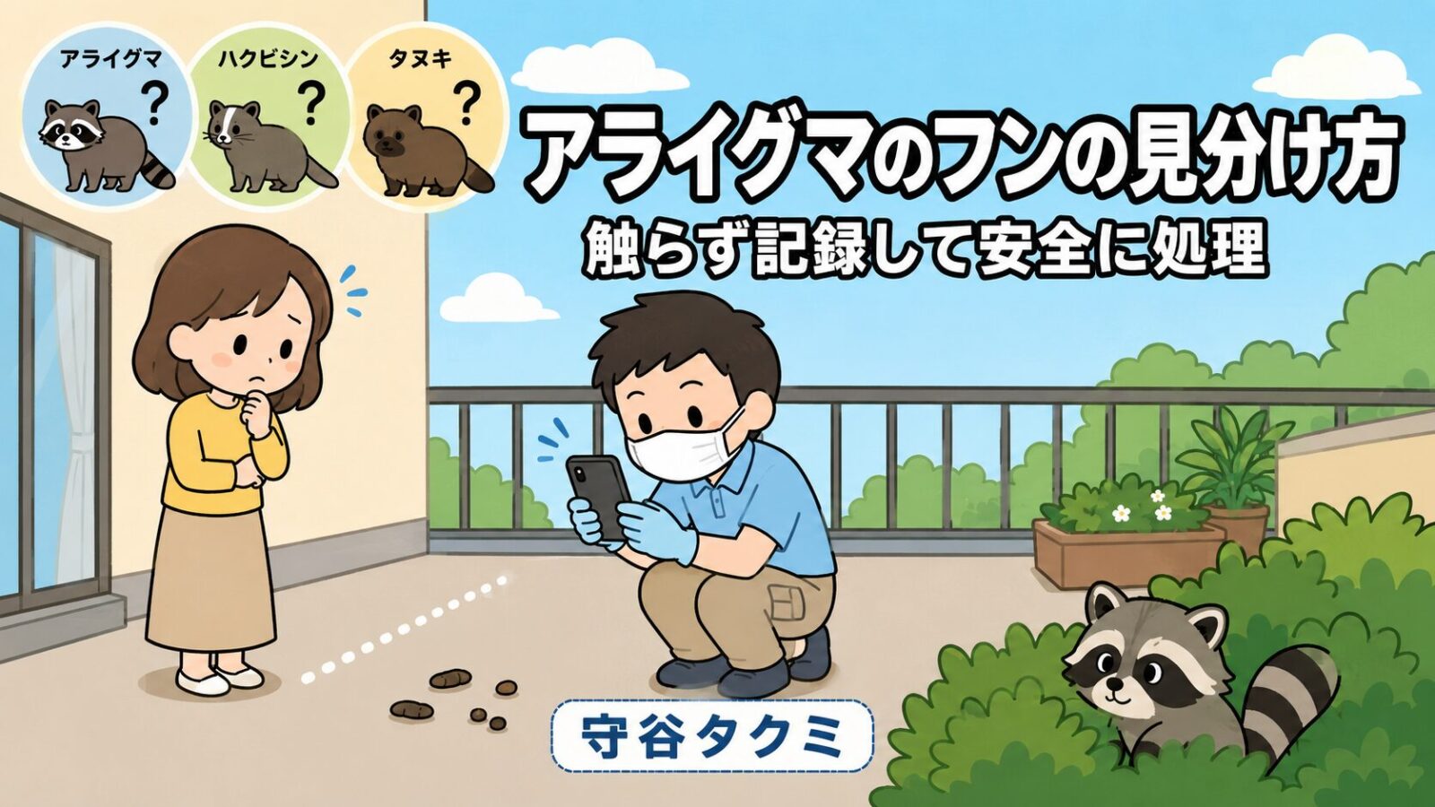 アライグマのフンの見分け方を解説する記事のメインアイキャッチ。ベランダで困り顔の女性が見守るなか、マスクと手袋を着けた作業着姿の守谷タクミがしゃがんでスマートフォンでフンを撮影し、画面上部にアライグマ・ハクビシン・タヌキの3種を疑問符付きで並べ、右奥の茂みからしま模様の尻尾のアライグマが顔を出すいらすとや風イラスト。
