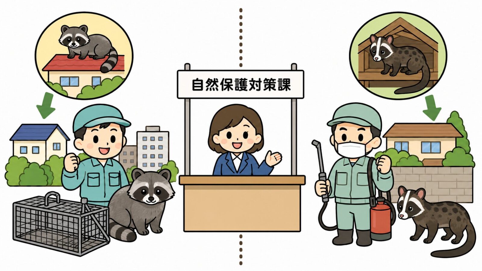 川口市自然保護対策課がアライグマの罠設置事業とハクビシンの対応の違いを住民に案内するいらすとや風イラスト
