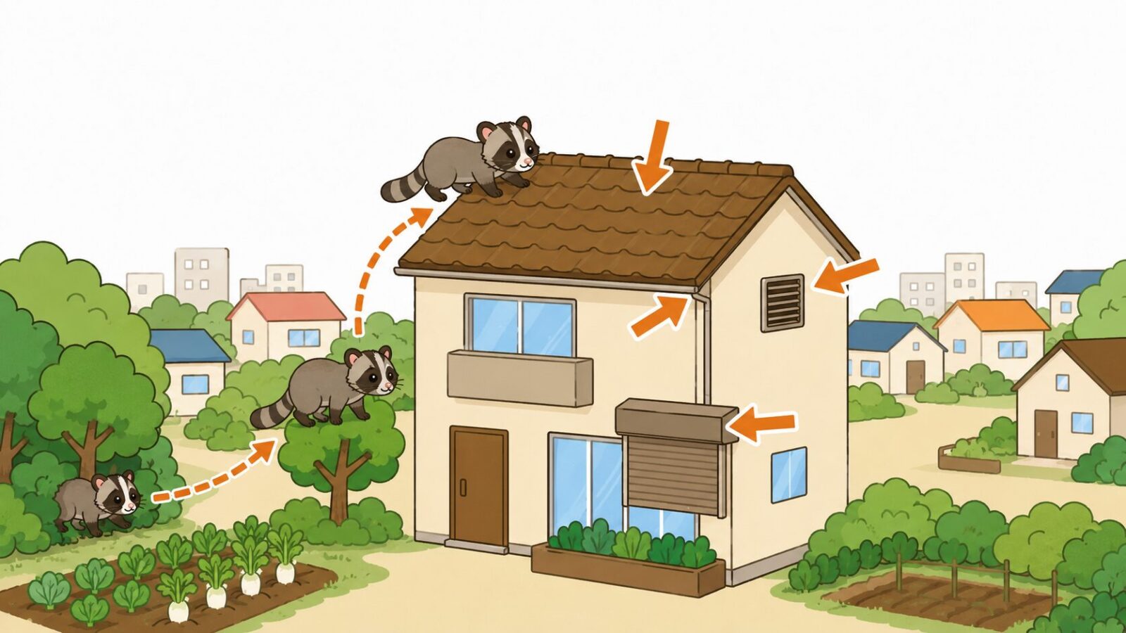 平坦な大宮台地に住宅地と雑木林が広がる上尾市でハクビシンの侵入経路を示したいらすとや風イラスト