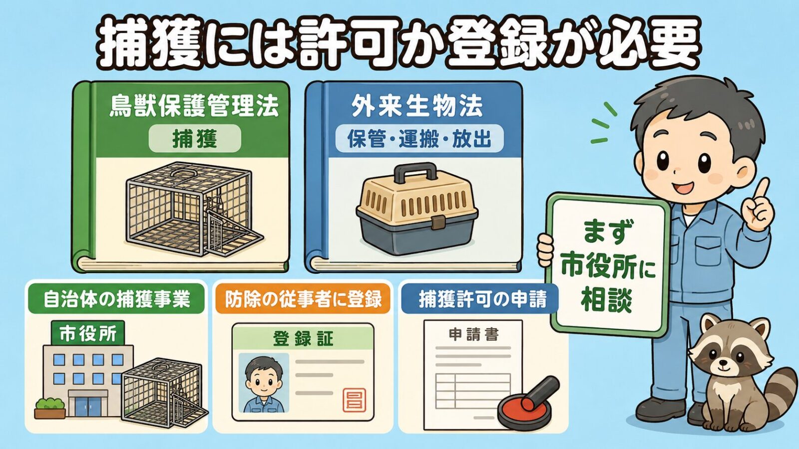 アライグマの捕獲に関する法律の前提を示す図解。<br><br>捕獲は主に鳥獣保護管理法が規制し、捕獲後の保管・運搬・放出は外来生物法が規制するという役割の違いと、自治体の捕獲事業・防除従事者の登録・捕獲許可の申請という3つの方法を、法律の本と市役所のアイコンで守谷タクミが説明するいらすとや風イラスト。