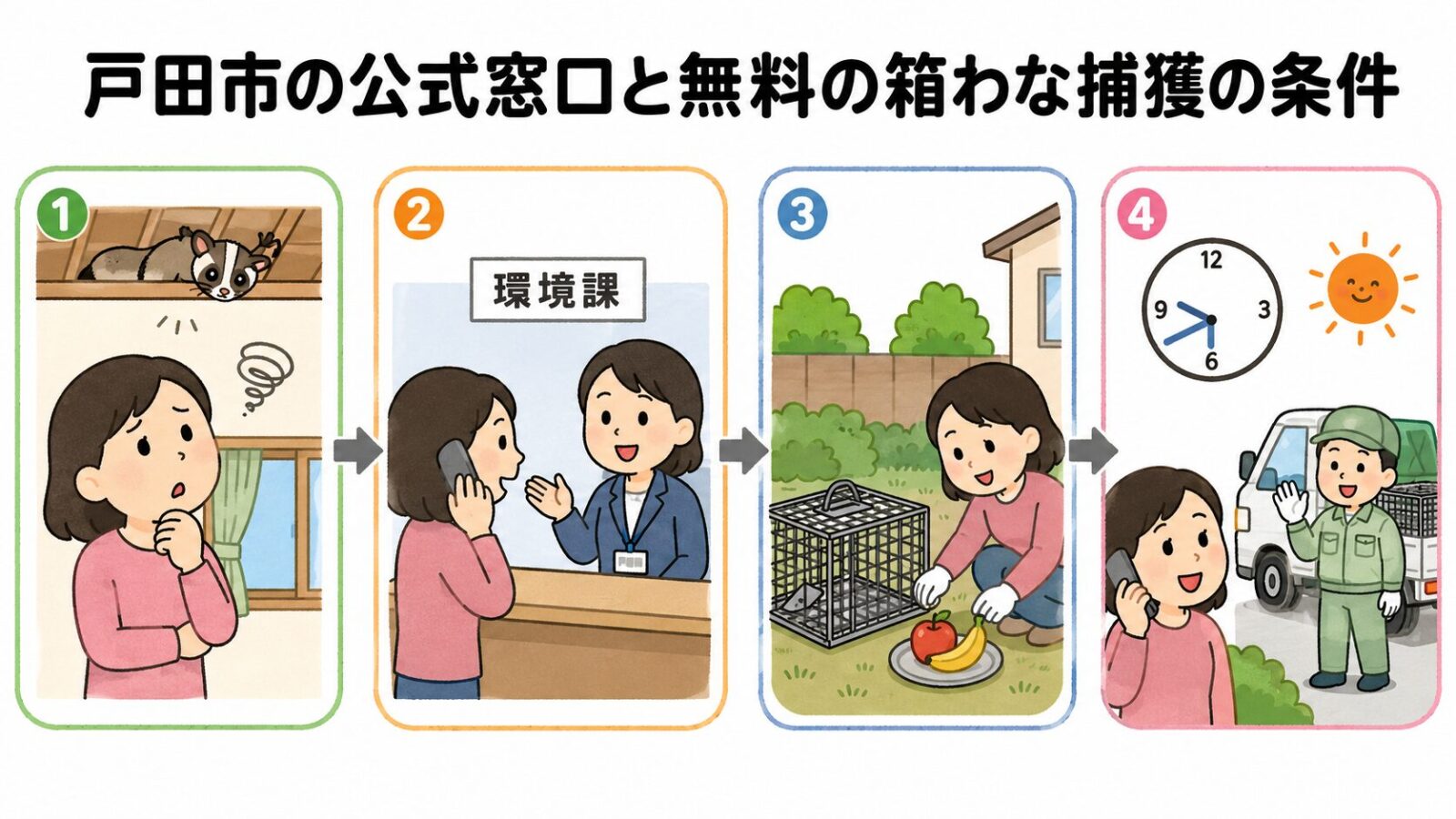 戸田市の相談窓口である環境課と、委託業者による無料の箱わな捕獲の流れを案内するいらすとや風イラスト