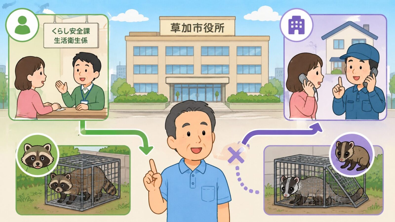 草加市のくらし安全課窓口とアライグマ・ハクビシンの対応違いを示すイラスト