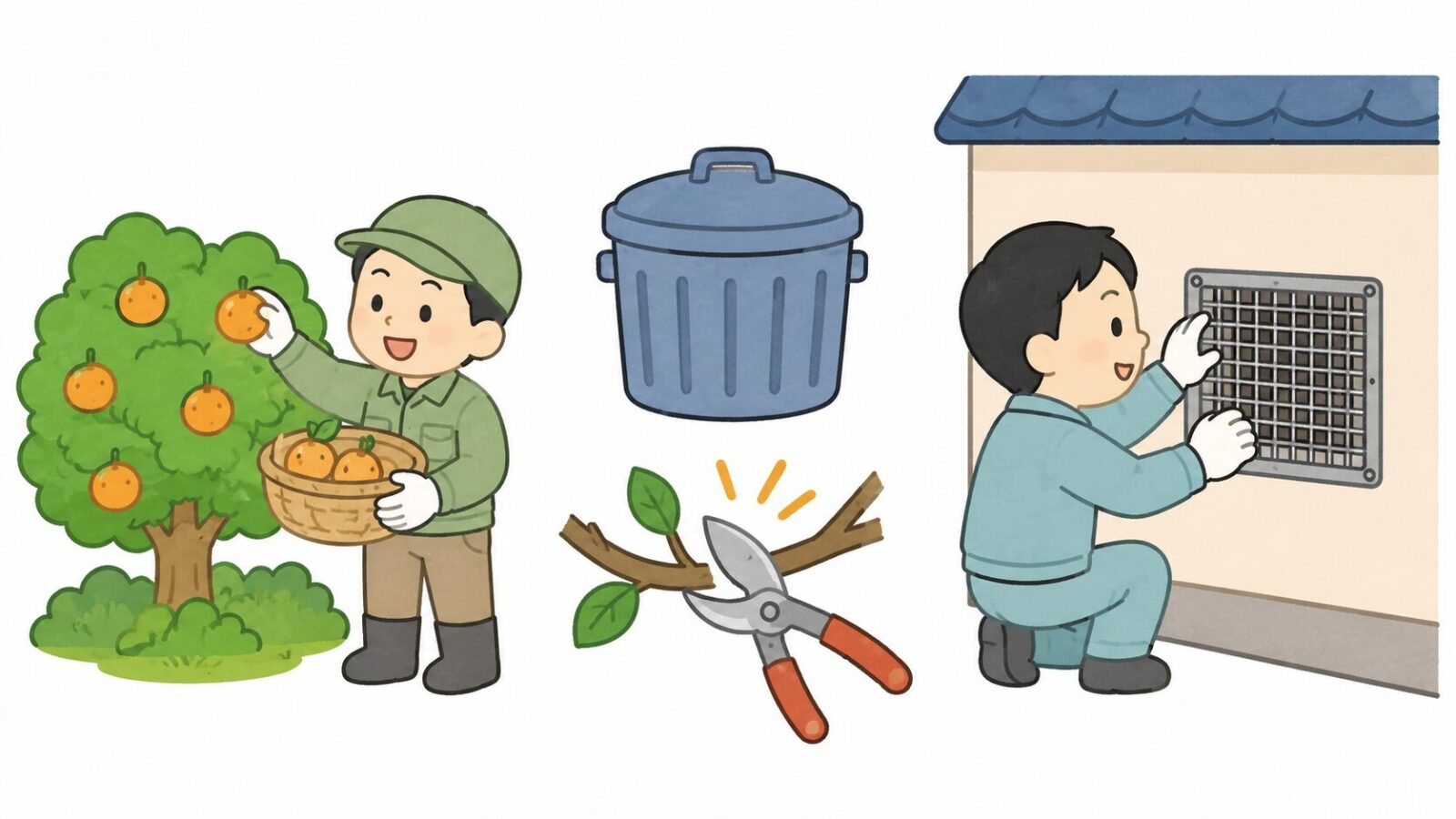果実の収穫や金網の取り付けなど自分でできるハクビシン予防対策を描いたいらすとや風イラスト