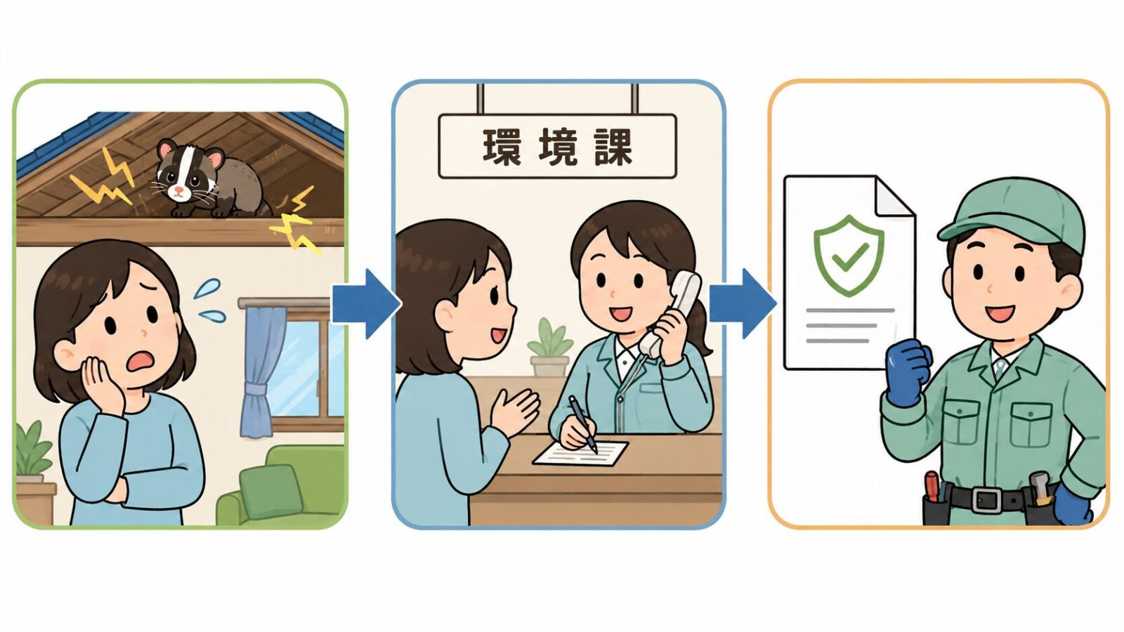 久喜市の相談窓口である環境課と、アライグマの相談・ハクビシンの捕獲許可という対応を案内するいらすとや風イラスト