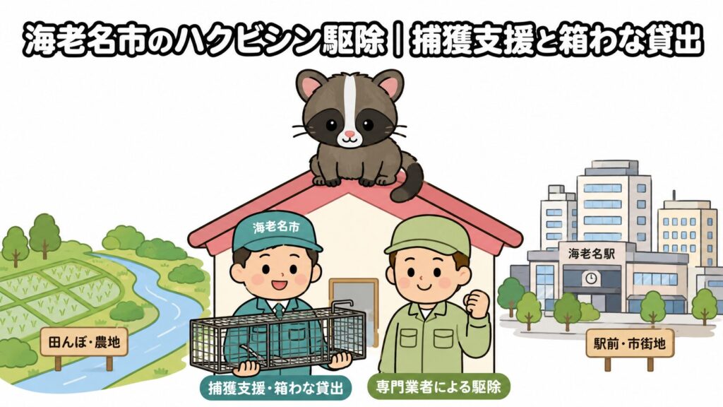 海老名市ハクビシン駆除 メインアイキャッチ のいらすとや風イラスト