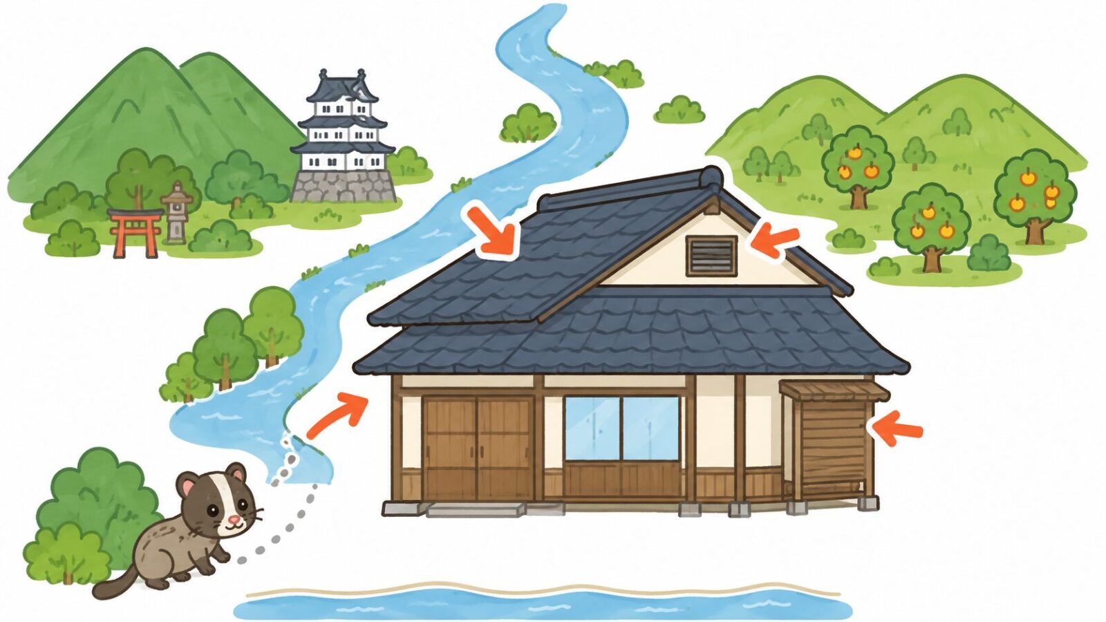 西の箱根の山と東の曽我丘陵、酒匂川に囲まれた小田原市の住宅でハクビシンの侵入経路を示したいらすとや風イラスト