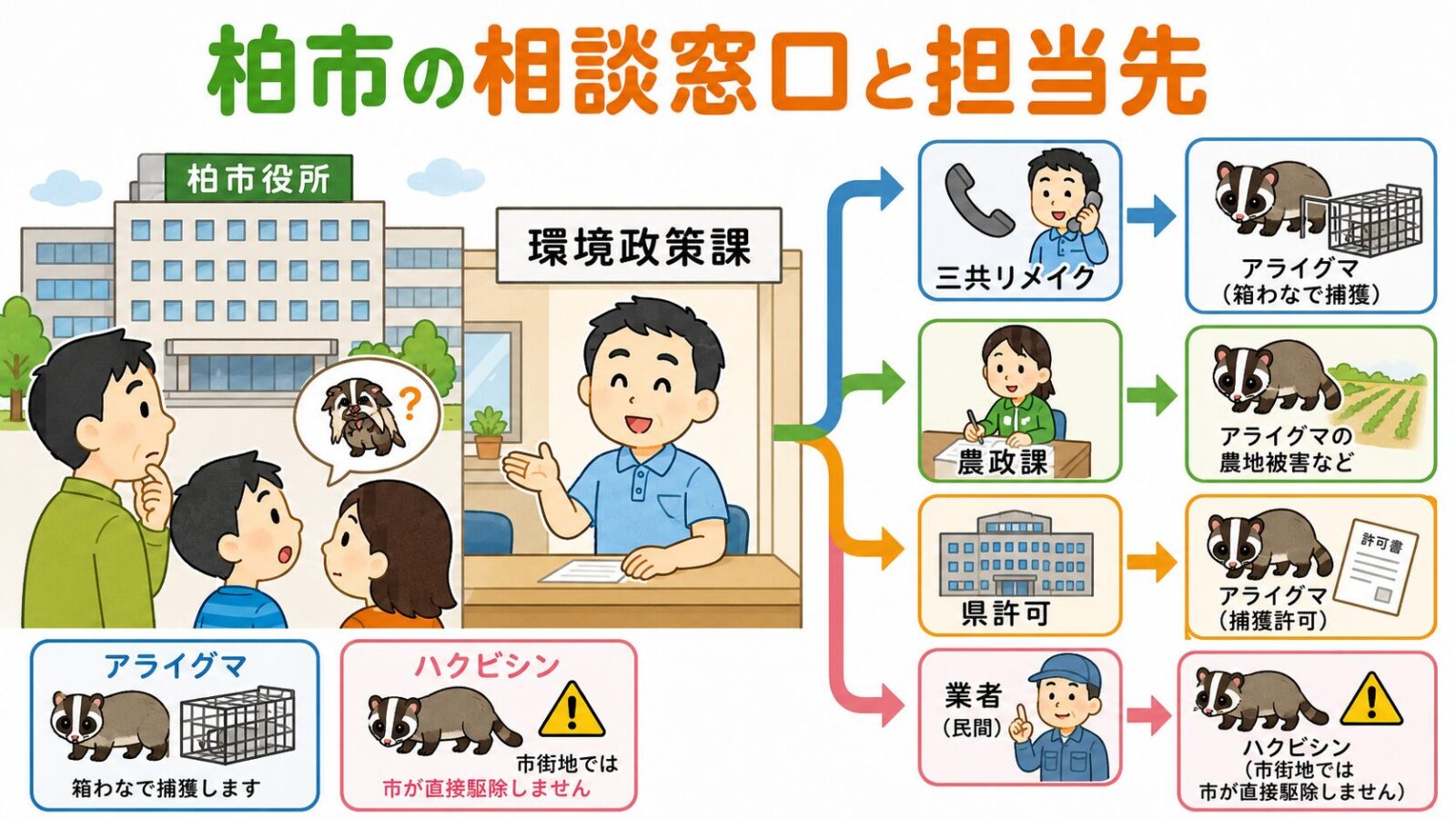 柏市の環境政策課とアライグマ箱わな制度、ハクビシン相談先の違いを示すいらすとや風イラスト