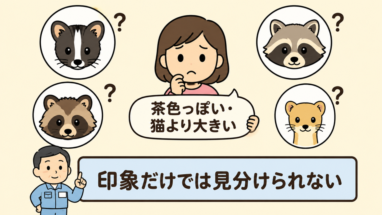 見た目の印象だけでは種類を決められないことを示した図解。中央で女性が茶色っぽい・猫より大きいと書かれた吹き出しを持ち、その周りにハクビシン・アライグマ・タヌキ・イタチの4匹の顔アイコンが疑問符とともに円形に並んでいる。下に印象だけでは見分けられないという守谷タクミの帯がある。
