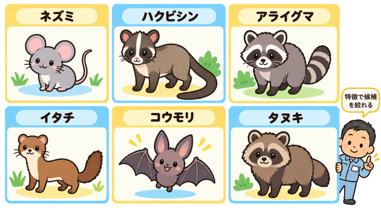 家に出る主な害獣6種をカタログ風に並べた図。ネズミ、顔に白い縦スジのあるハクビシン、縞模様の尻尾のアライグマ、細長いイタチ、小さな翼のコウモリ、短い尻尾のタヌキが名前ラベル付きのカードで並び、右下で守谷タクミが特徴で候補を絞れると添えている。