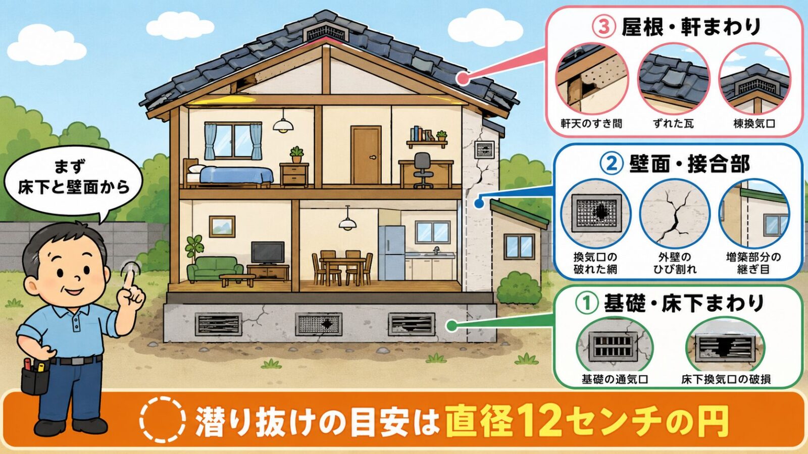 アライグマの侵入口を3系統に整理した住宅の断面図。下から順に基礎の通気口や床下換気口の破損を示す基礎・床下まわり、換気口の破れた網や外壁のひび割れ、増築部分の継ぎ目を示す壁面・接合部、軒天のすき間やずれた瓦、棟換気口を示す屋根・軒まわりを配置し、左下の守谷タクミがまず床下と壁面からと呼びかけ、下部に潜り抜けの目安は直径12センチの円と添えたいらすとや風イラスト。