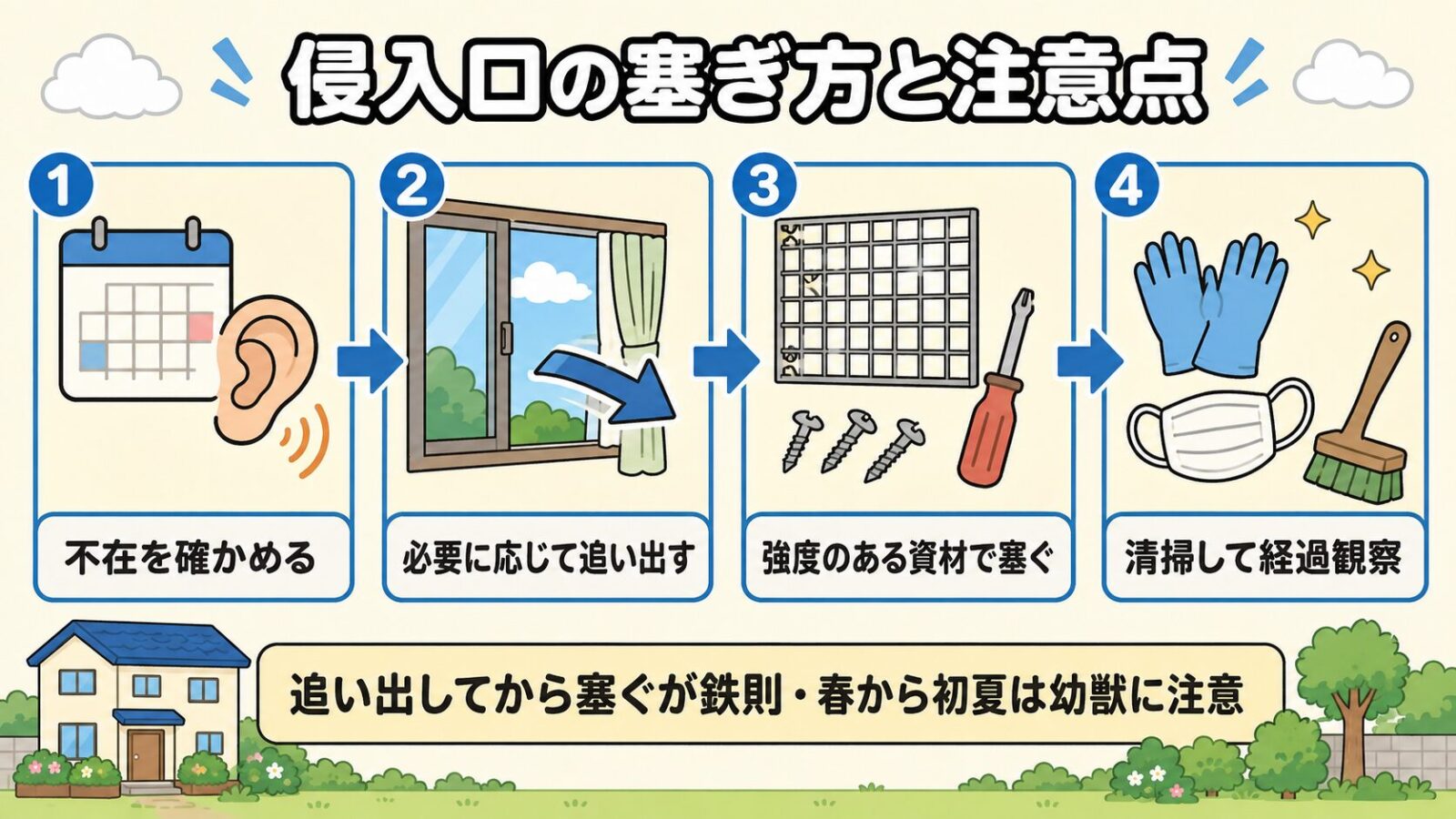 侵入口の塞ぎ方を4段階で示した図解。カレンダーと耳のアイコンで不在を確かめる、窓から外へ向かう矢印で必要に応じて追い出す、金網とネジで強度のある資材で塞ぐ、手袋とマスクとブラシで清掃して経過観察、の順に並べ、追い出してから塞ぐのが鉄則で春から初夏は幼獣に注意と添えたいらすとや風イラスト。