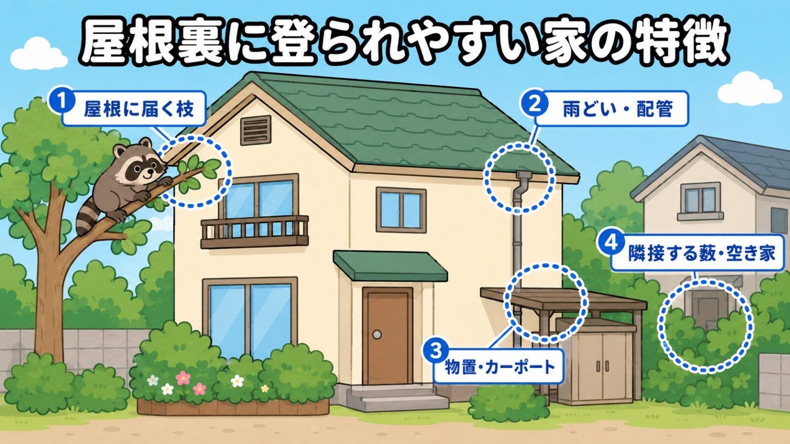 屋根裏に登られやすい家の特徴を示した図解。屋根に届く庭木の枝、雨どいや配管、物置やカーポート、隣接する藪や空き家の4か所に丸い印を付け、左側の木の枝にはしま模様の尻尾のアライグマが登っている様子を描いたいらすとや風イラスト。