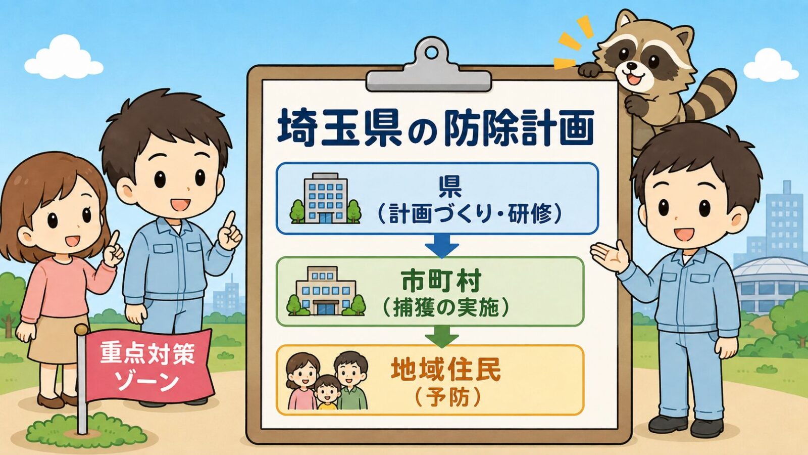 埼玉県アライグマ防除実施計画のなかでのさいたま市の位置づけを示した図解。県は計画づくりと研修、市町村は捕獲の実施、地域住民は予防という3段の役割分担をクリップボード風の書類で表し、左下に重点対策ゾーンの旗、右上にアライグマを配置したいらすとや風イラスト。