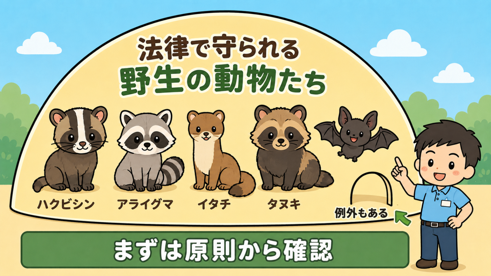 鳥獣保護管理法が守る野生動物の範囲を示した図解。ドームの中にハクビシン・アライグマ・イタチ・タヌキ・コウモリが並び、法律で守られる野生の動物たちであることを表現。右下には例外もあることを示す小さな扉が描かれ、まずは原則から確認するよう守谷タクミが案内している。