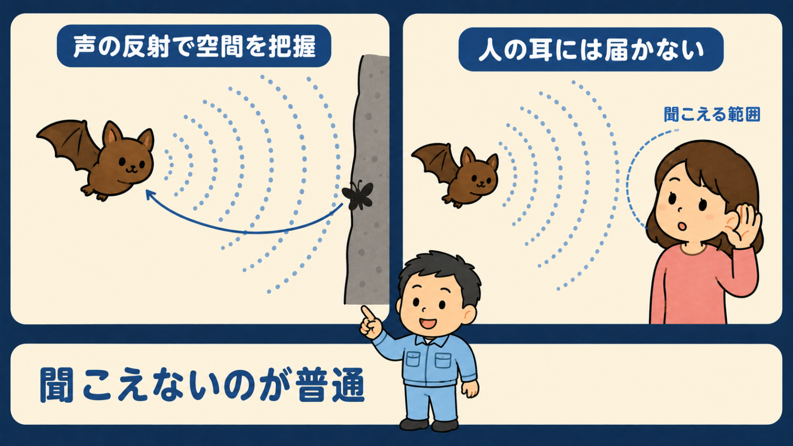 コウモリの声が人に聞こえない理由を示した図解。左は声の反射で空間を把握するとして、コウモリの口から出た点線の波紋が壁の虫に当たって戻る様子を矢印で描いている。右は人の耳には届かないとして、聞こえる範囲を示す半円の外側を波紋が通り抜けている。下に聞こえないのが普通という帯がある。