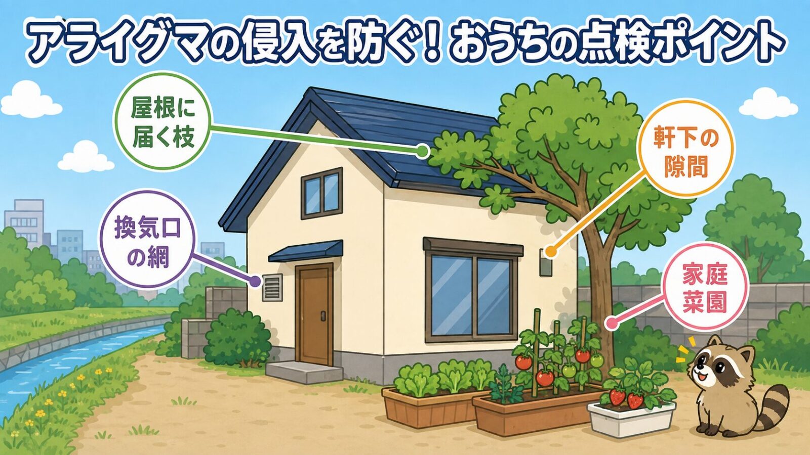アライグマの侵入を防ぐための住宅まわりの点検ポイント図。屋根に届く枝、換気口の網、軒下の隙間、家庭菜園の4か所を丸いラベルで示し、家の左奥に用水路と草地、右下にしま模様の尻尾のアライグマを配置したいらすとや風イラスト。