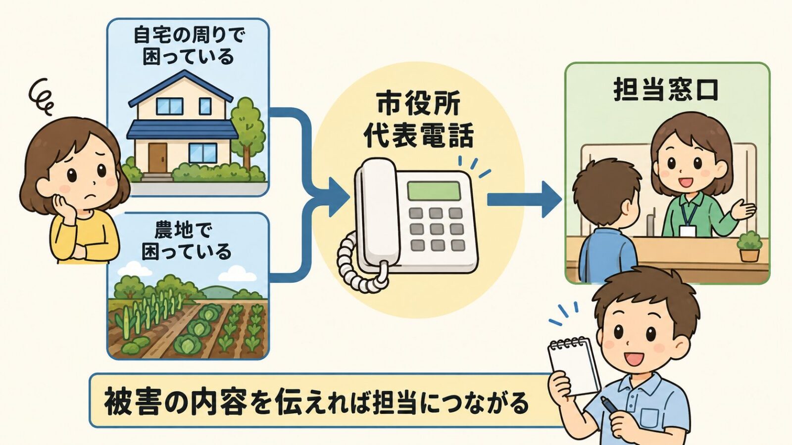 つくば市でアライグマの相談先を示した図解。自宅の周りで困っている人と農地で困っている人のどちらも、市役所の代表電話に連絡すれば担当窓口につながる流れを矢印で表現。被害の内容を伝えれば担当につながることを、守谷タクミがメモ帳を手に案内している。