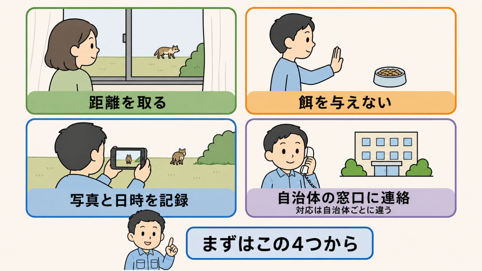 毛のない動物を見かけたときの4つの対応を示した図解。窓越しに見守る距離を取る、手のひらで止める仕草の餌を与えない、離れた場所からスマートフォンで撮る写真と日時を記録、受話器と市役所の建物で示した自治体の窓口に連絡の4枚。窓口のカードには対応は自治体ごとに違うと添えてある。