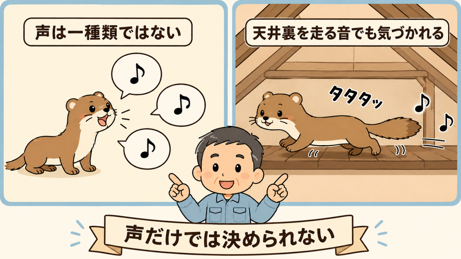 イタチの鳴き声だけでは種類を決められないことを示した図解。左はイタチが口を開け、音符の吹き出しが3つ出ていて、声は一種類ではないというラベル。右は天井裏を走るイタチとタタタッの擬音で、天井裏を走る音でも気づかれるというラベル。中央で守谷タクミが両側を指し、声だけでは決められないと示している。
