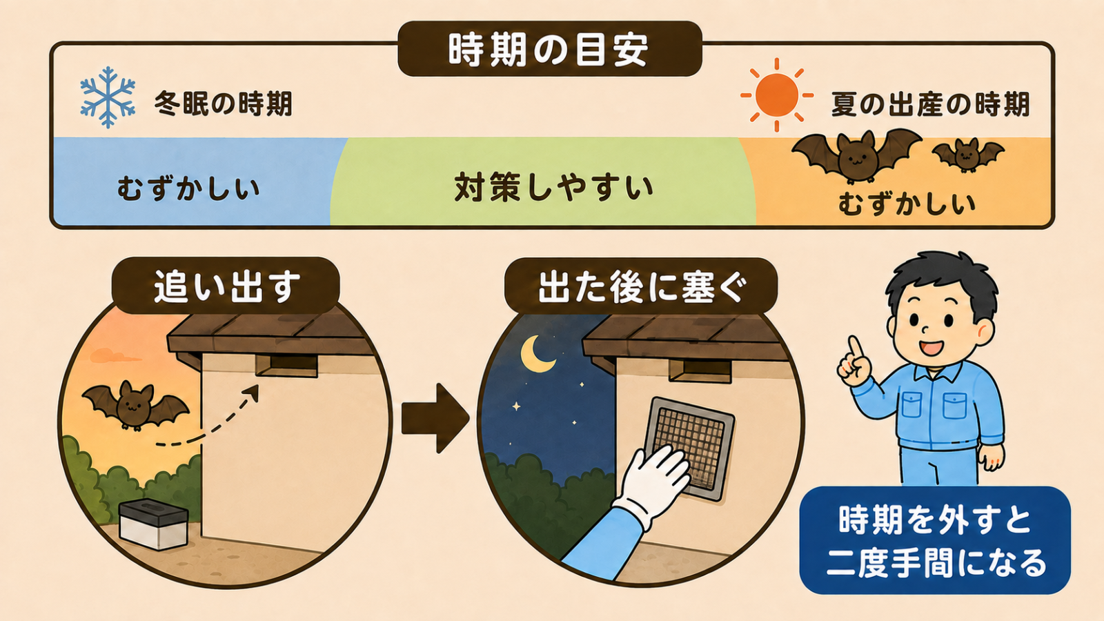 コウモリ対策の時期と手順を示した図解。上部の帯グラフは冬眠の時期と夏の出産の時期をむずかしい、その間を対策しやすいと色分けしている。下は追い出すとして忌避剤と隙間から出ていくコウモリ、出た後に塞ぐとして夜に手袋の手が通気口へ金網をあてがう様子。時期を外すと二度手間になるという帯がある。