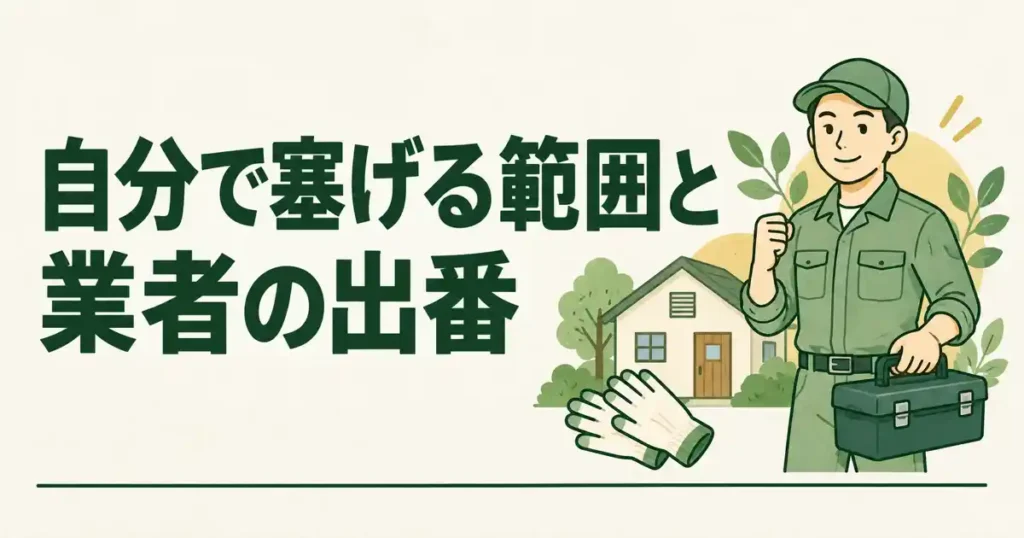自分で塞げる範囲と業者の出番