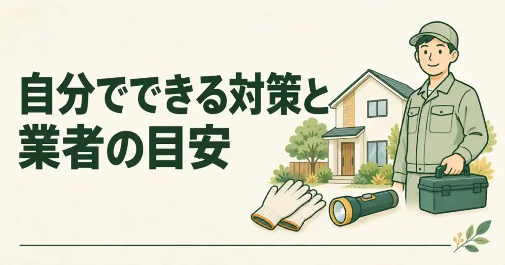 自分でできる対策と業者の目安